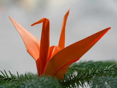 Not another picture of a bird in a tree!