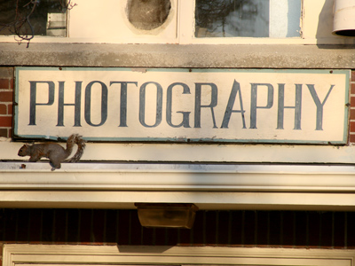 That squirrel is just nuts about photography.