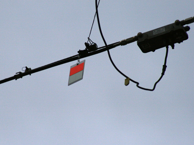 The Oregon District`s anti-bird campaign resumes soon.