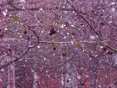 Looks like a good day to get some gelato.