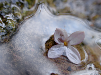 Rain is okay as long as it occurs when I`m asleep or indoors.