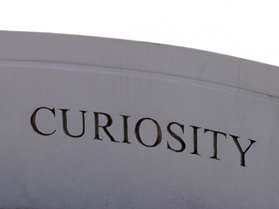 There was a dead cat nearby.