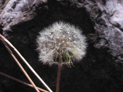 Not to brag of course, but a week of photography lessons (technical and aesthetic) could be taught about this shot.