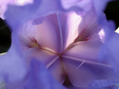 Translucent:  admitting the passage of light through a substance.