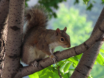 A cool Friday morning.