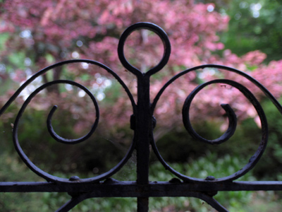 I`ve been pumping iron . . . practicing my curls.