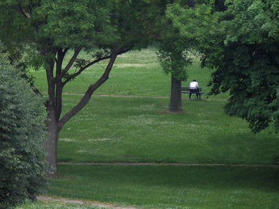 I agree with this guy:  holidays are dull.