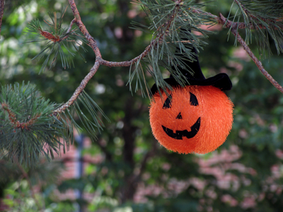 To everything there is a season, and a time to every purpose under the heaven. ECCLESIASTES 3:1