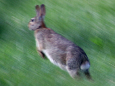 Wait!  It`s only a camera.