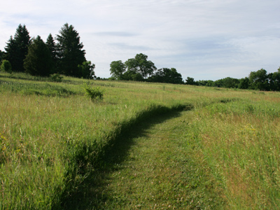 Two roads diverged in a wood, and I, I took the one less traveled by, And that has made all the difference. ROBERT FROST