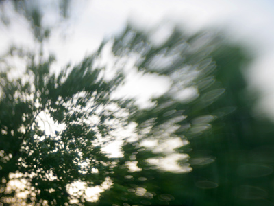 First day with a new Lensbaby 3G.  This will take some getting used to . . . 