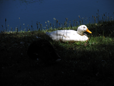 We have conquered for ourselves a place in the sun. KAISER WILHELM II