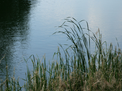 Take a walk outside -- it`ll do you good.