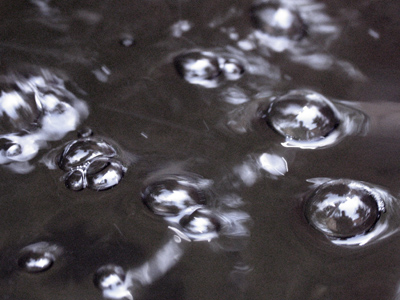 Where`s my rubber ducky?