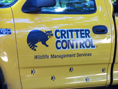 We`ve got a problem with squirrels in the attic.