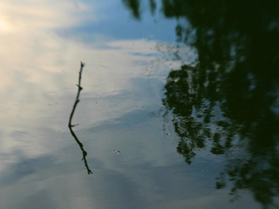 There would`ve been a better picture here if I hadn`t been scared of the tattooed guy with the red `71 Mustang.