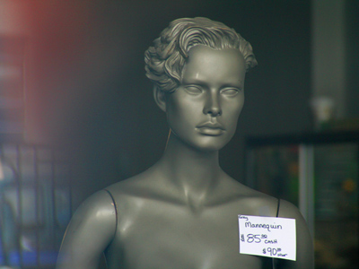 Who can find a virtuous woman? for her price is far above rubies. PROVERBS 31:10