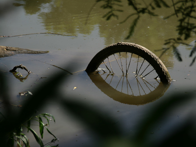 Everyone knows bicycles reduce pollution.