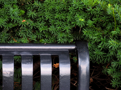 All of today`s pictures were taken from this spot (standing, it turns out, in somebody`s discarded chewing gum).