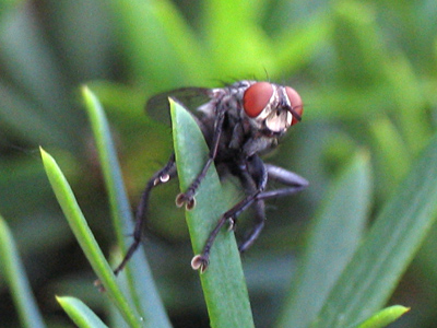 `I just flew in from the coast, and boy are my arms tired!`