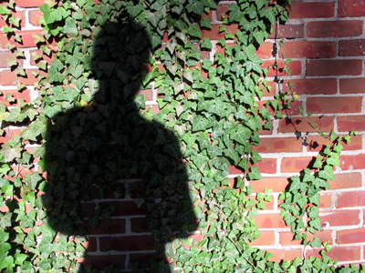 Looks like another sunny day ahead.