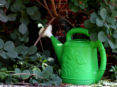 Keeping things green.