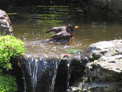 Okay, we know where Robin takes a bath, but where does Batman take a bath?  In the Battub.