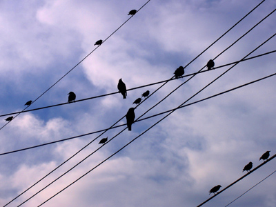 Two seconds later, there were only wires there.