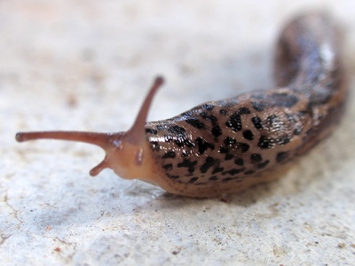 `You get any closer with that camera and I`ll slug you.`