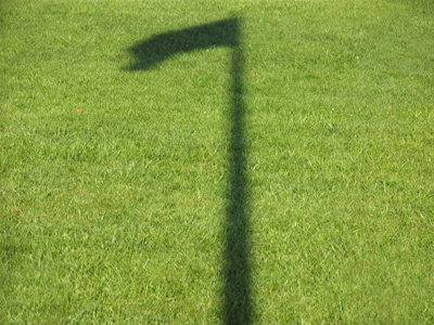 Morning [Old] Glory.