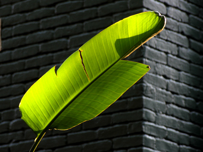 There are always new things to see on my morning walk through the Oregon District.