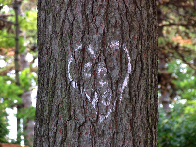 I reckon I seen the varmint for the last time.  LINUS RAWLINGS in `How the West was Won`