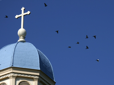 A nearby hawk was making everyone nervous.