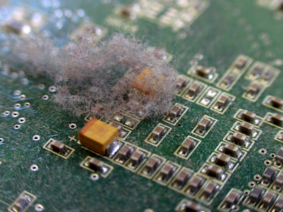 Storm cloud over the suburbs, or a really dirty network card.