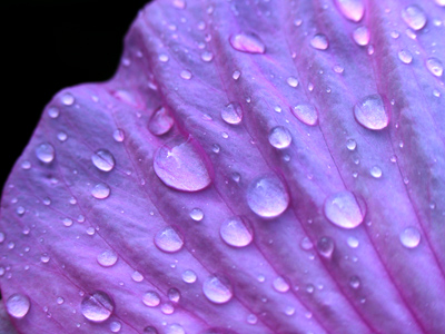 A park employee politely ignored the strange guy with the camera kneeling in the grass at 8:22am.