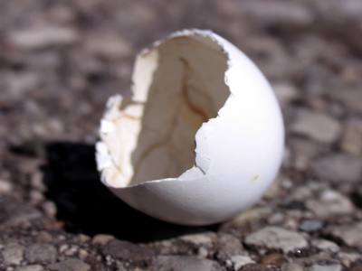 Animals have such a simple purpose: feed and breed to continue the species.  When WE start to think that we have a higher purpose, either violence or beneficence follows.