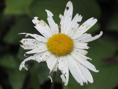 August has been a rough month.