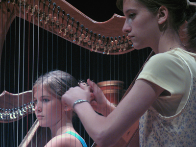 These musicians have a lot of pluck.