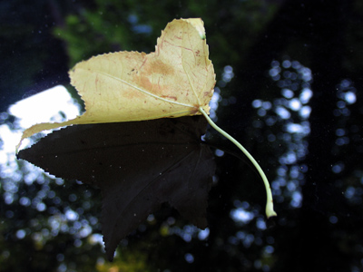 It`s a little early for that type of thing, don`t you think?