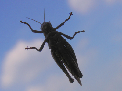 It`s nearly impossible to photograph a grasshopper in flight.  So I didn`t.