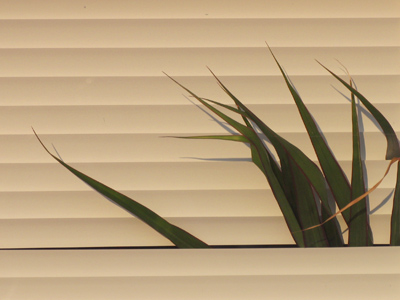 I don`t like being cooped up in an office either.