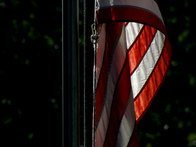 The light of patriotism.