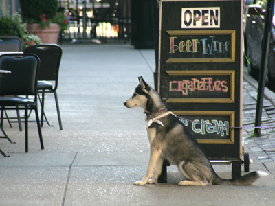 `I hope he remembers the Snausages.`