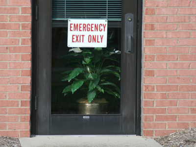 While fleeing the smoke and flames, please take care not to step on the plant.