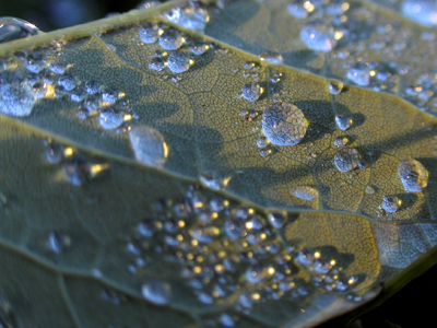 Monday morning sunrise.