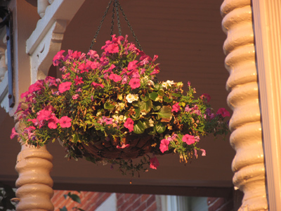 A sidewalk passer-by saw my camera and instructed me to `do something with that flowerpot.`