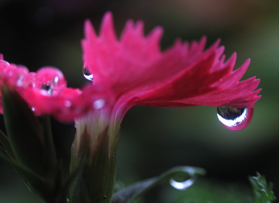  . . . but something like this takes a lot more effort.