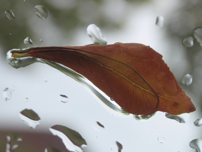 Taken from the dry comfort of my car.