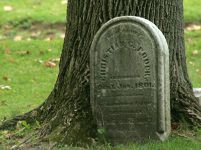 Another failed attempt at immortality.