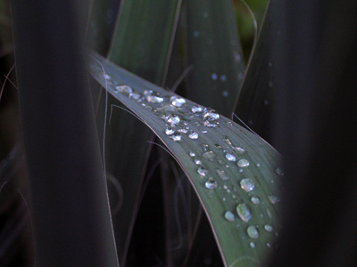 The first four of today`s photos were all taken within an area of about six feet, but over a span of 26 minutes.